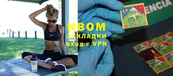 гидра Инта