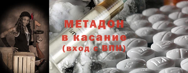 гидра Инта