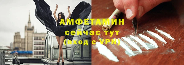 гидра Инта