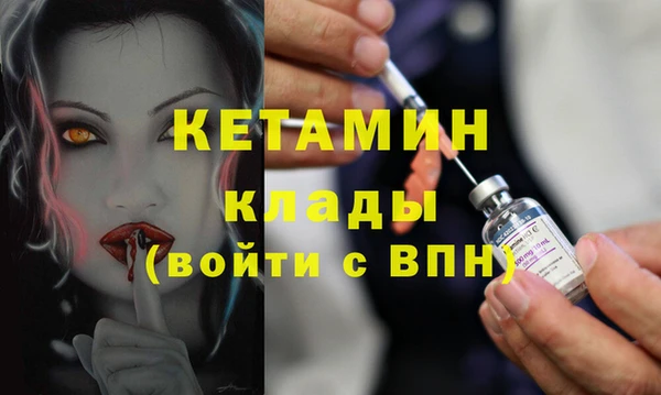 гидра Инта