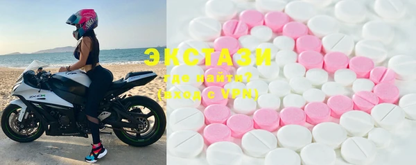 гидра Инта