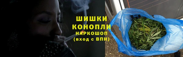 гидра Инта
