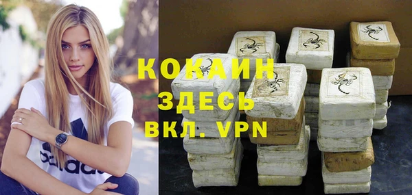 гидра Инта