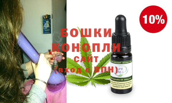гидра Инта