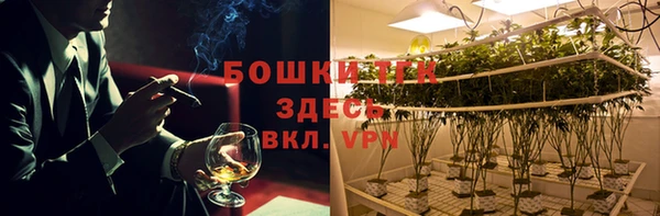 гидра Инта