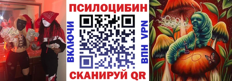 Псилоцибиновые грибы Psilocybe Купить Богородицк